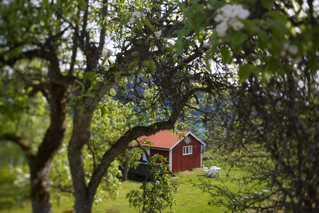Dragsvik Fjordhotel (Adults Only) Balestrand Zewnętrze zdjęcie