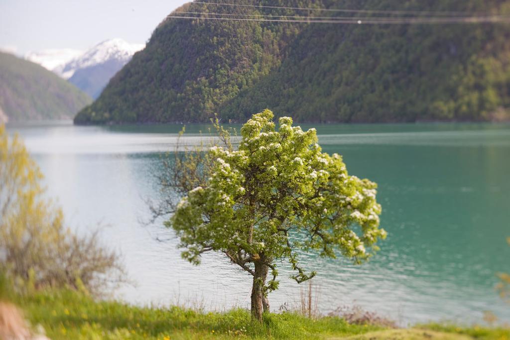 Dragsvik Fjordhotel (Adults Only) Balestrand Zewnętrze zdjęcie